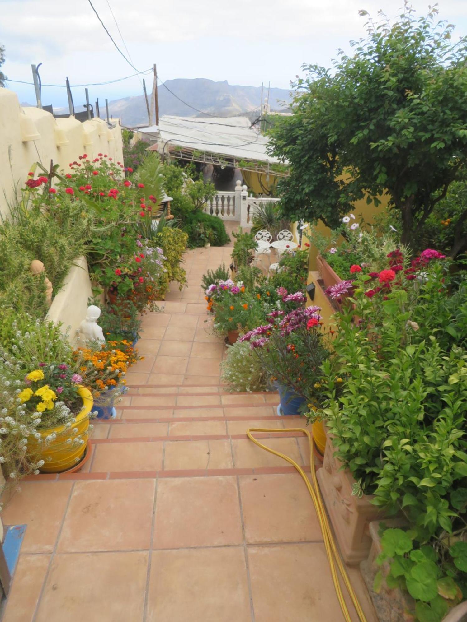 Finca Cortez Apartment 4 San Bartolomé 外观 照片