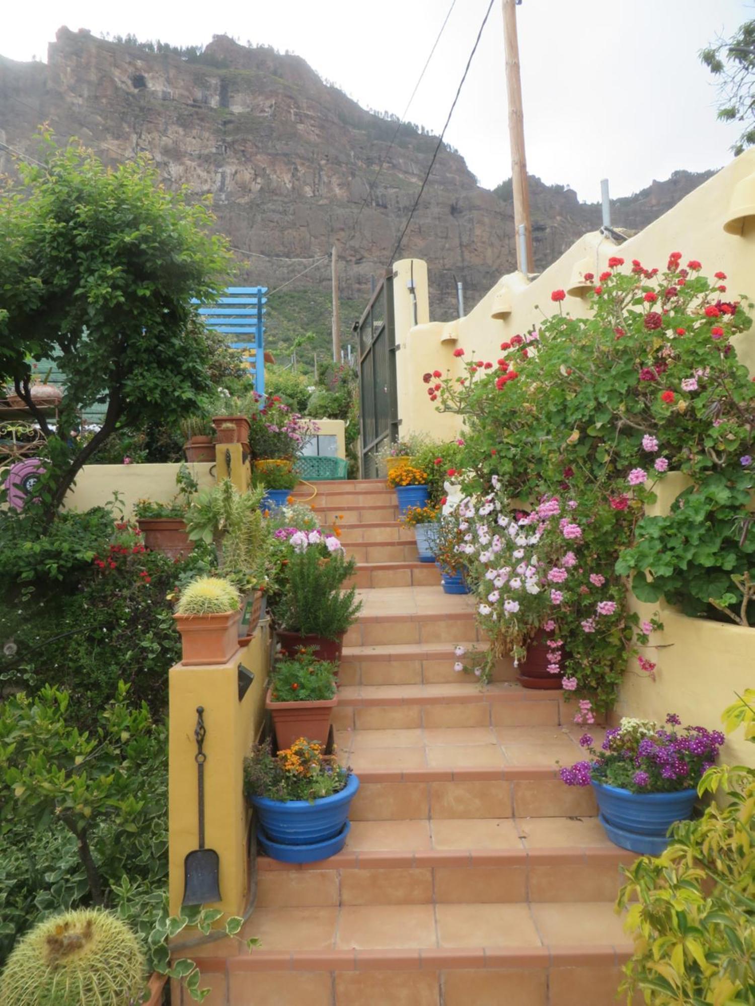 Finca Cortez Apartment 4 San Bartolomé 外观 照片